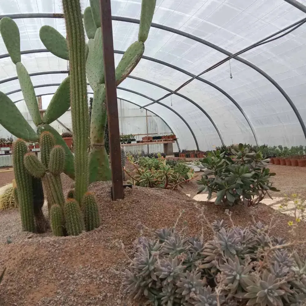 pepiniere-natura-paysage-7