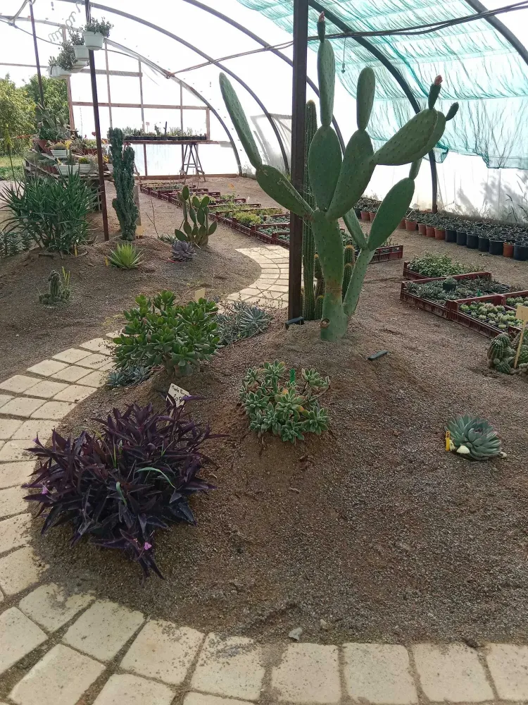 pepiniere-natura-paysage-3