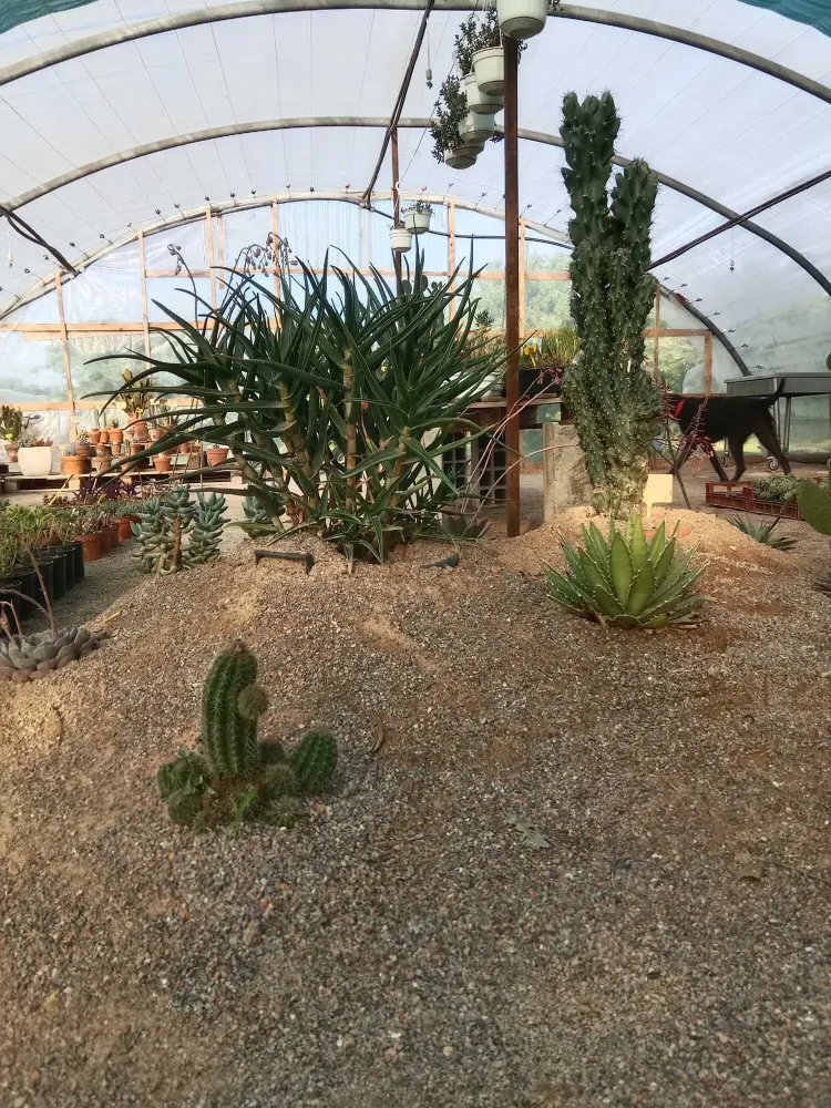 pepiniere-natura-paysage-1