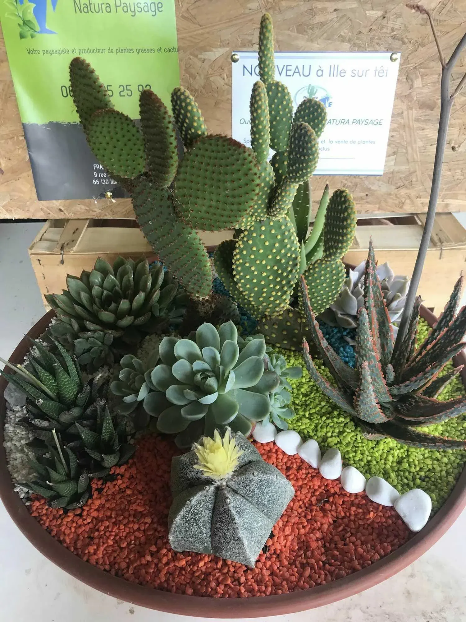 pepiniere-natura-paysage-5